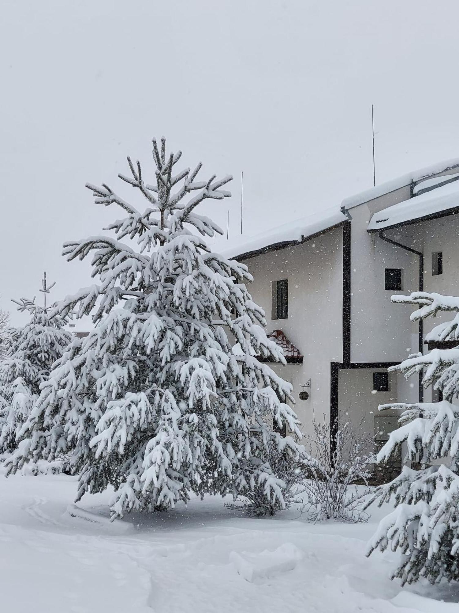 Pinerose Resort Banszko Kültér fotó